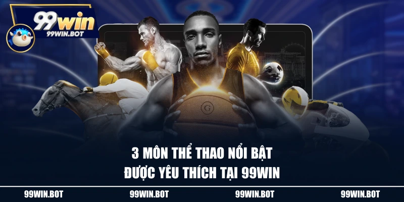 3 môn thể thao nổi bật được yêu thích tại 99WIN
